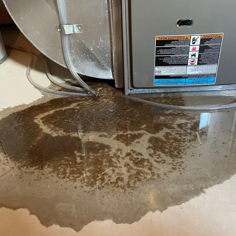 Pipe Burst and Leak Restoration in East Hazel Crest, IL