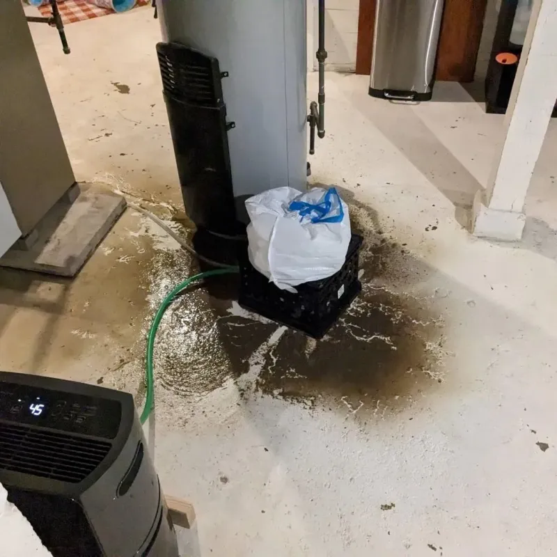 Sewage Backup Cleanup Service in East Hazel Crest, IL